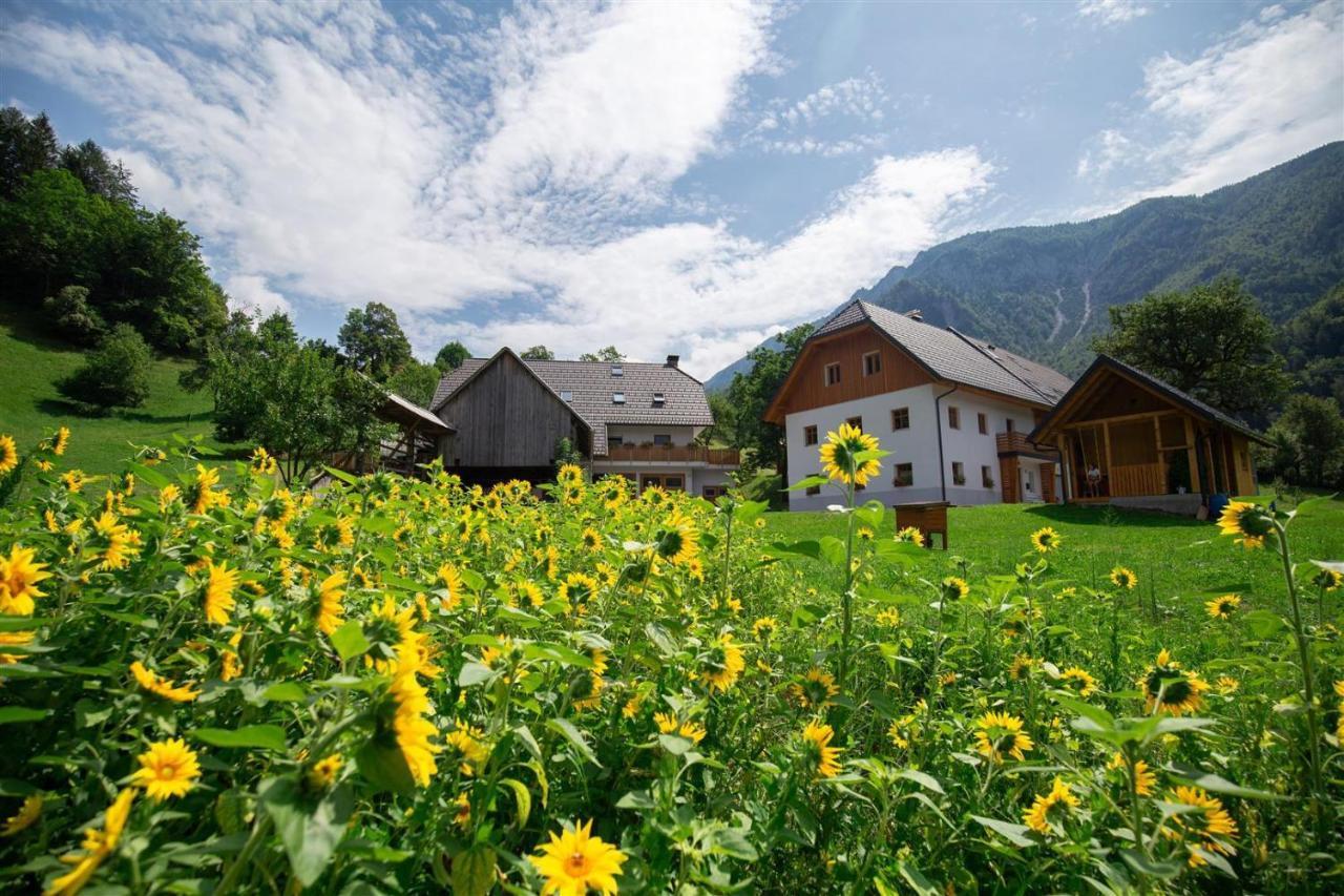 Apartments Tourist Farm Storman With Ev Ch-Station Tržič Exterior foto